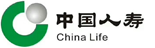 中国人寿：企业级报表系统